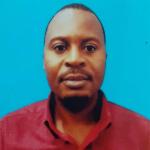 chitin nanofibrils, nanostructured materials and biocomposites