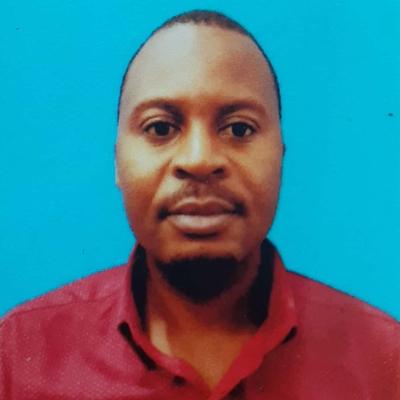 chitin nanofibrils, nanostructured materials and biocomposites